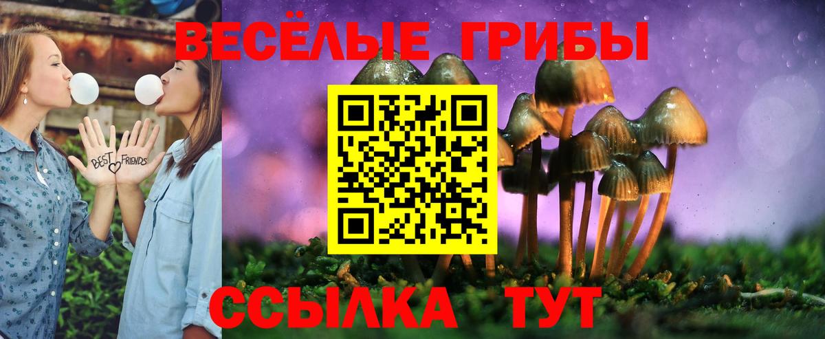 Курган  Галлюциногенные грибы прущие грибы  Вход с VPN 